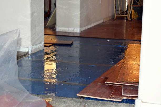 Professional Sewage Cleanup technician working in Campbellsburg, KY
